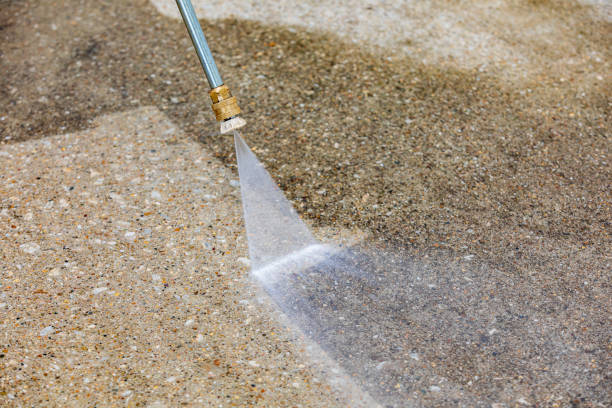 Spring Cleaning in Long Branch, VA